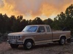 Thumbnail Photo 0 for 1984 Ford F250